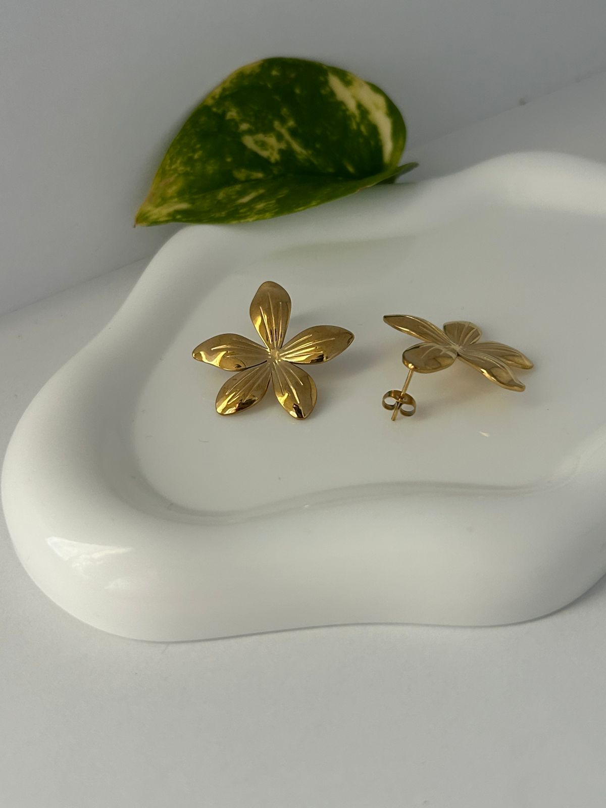 ARETES LUCCA