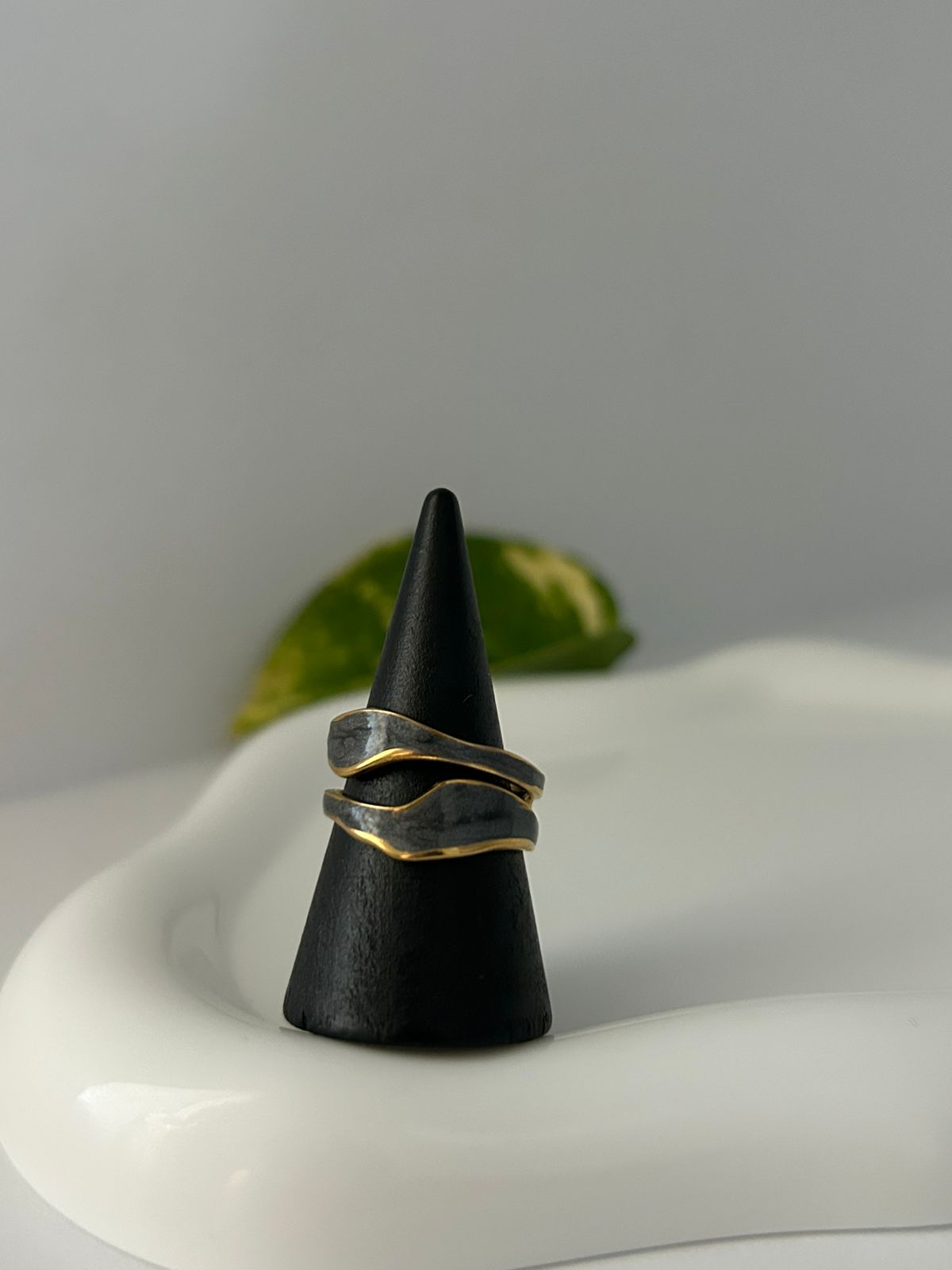ANILLO TERRA