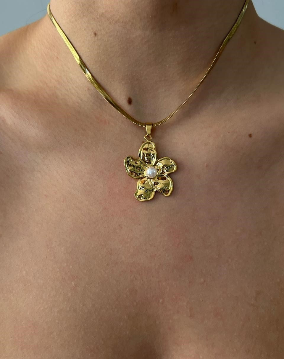 COLLAR NOVA