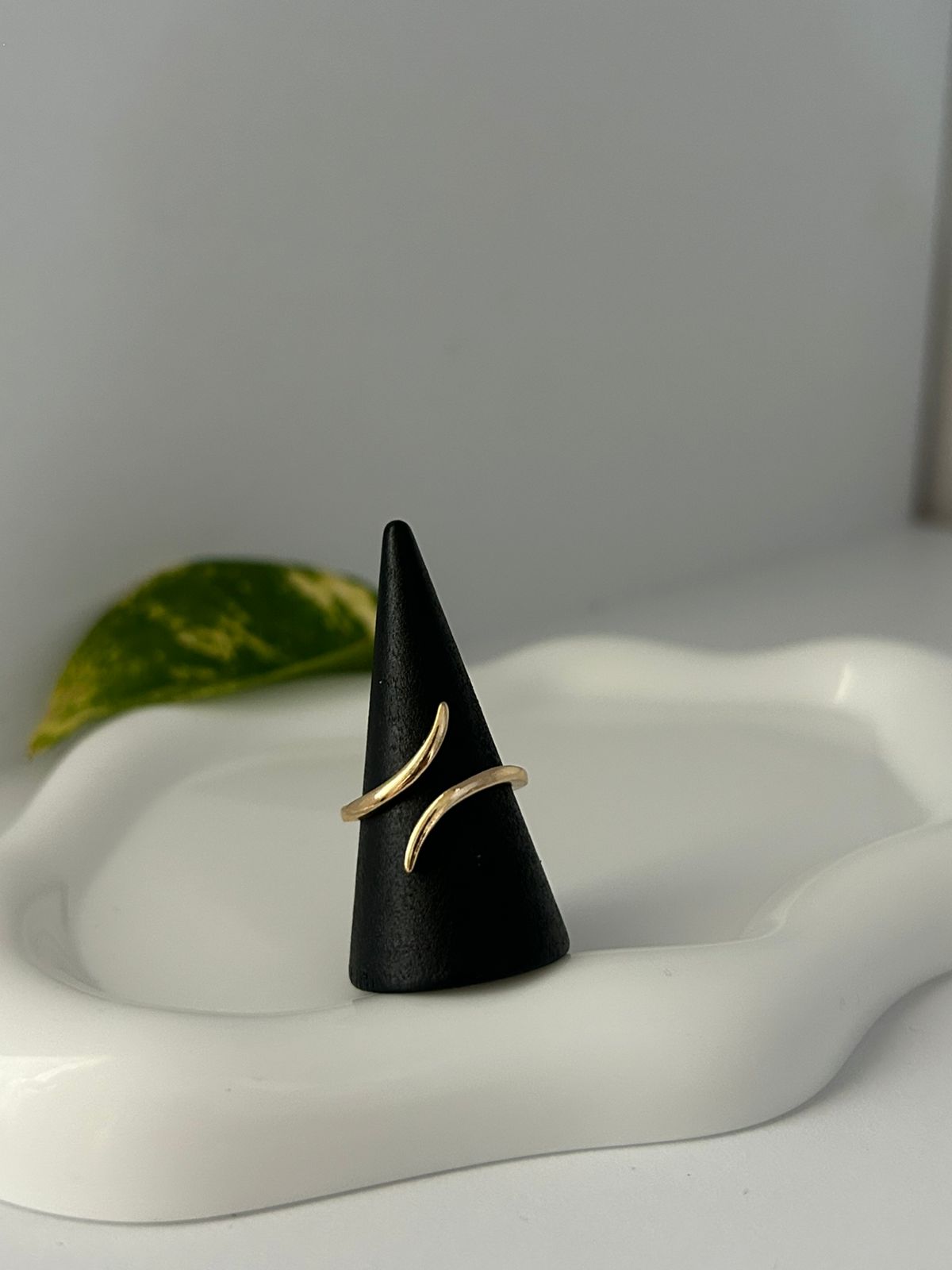 ANILLO ENVOLVE
