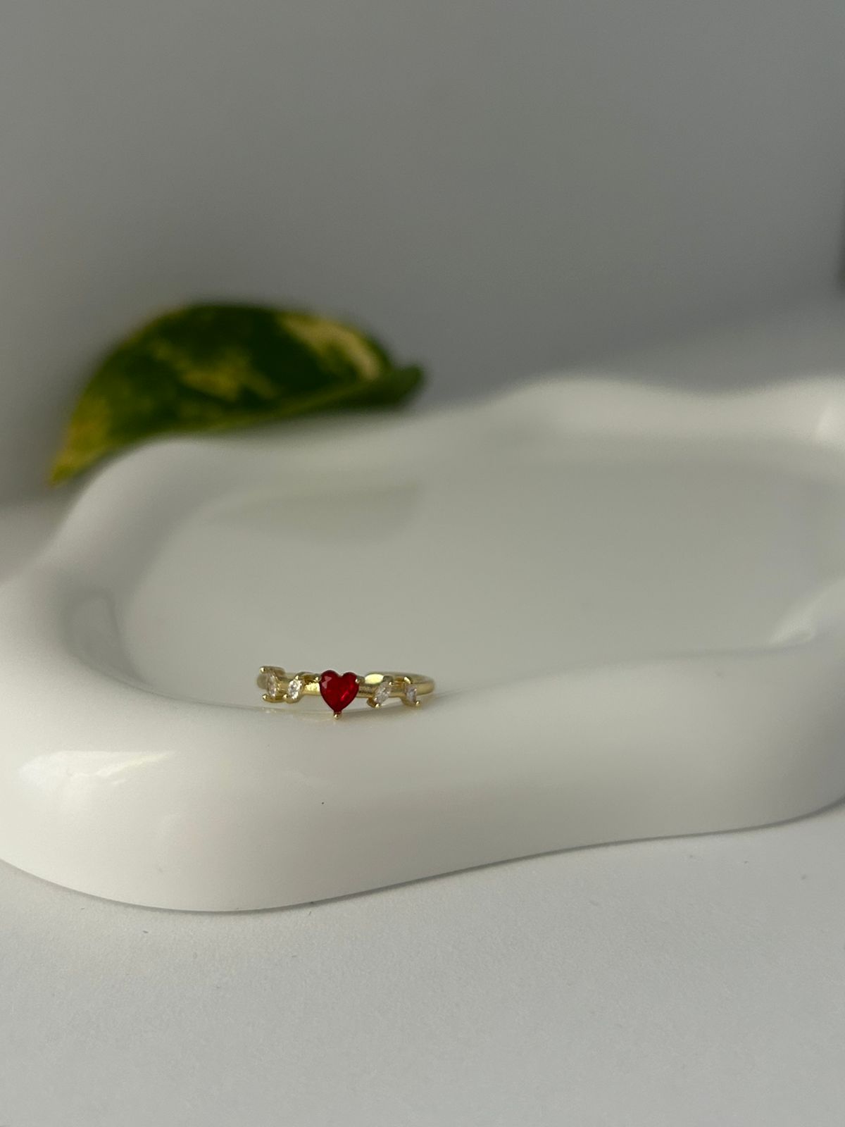 ANILLO AINA