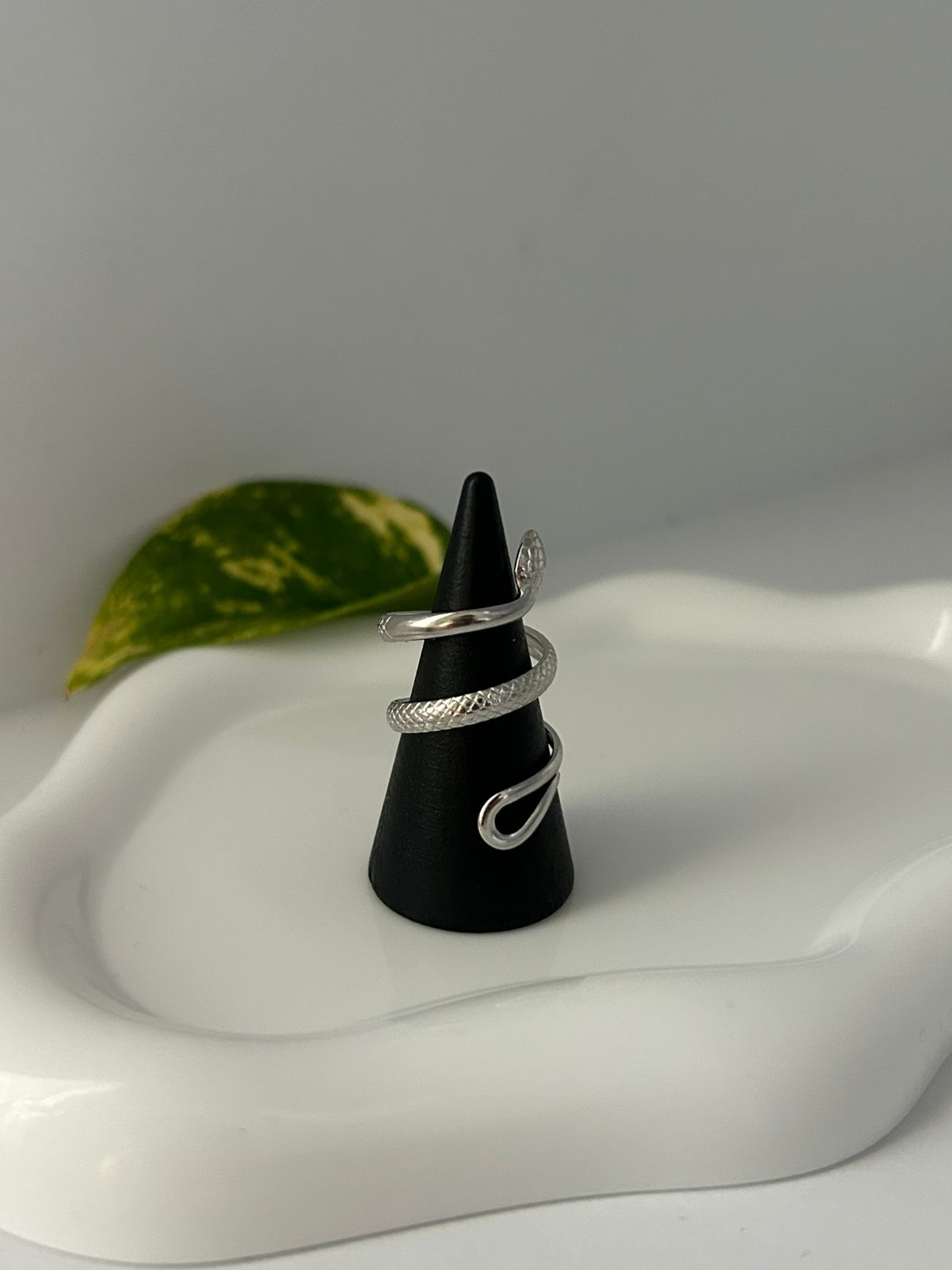 ANILLO NAGEN