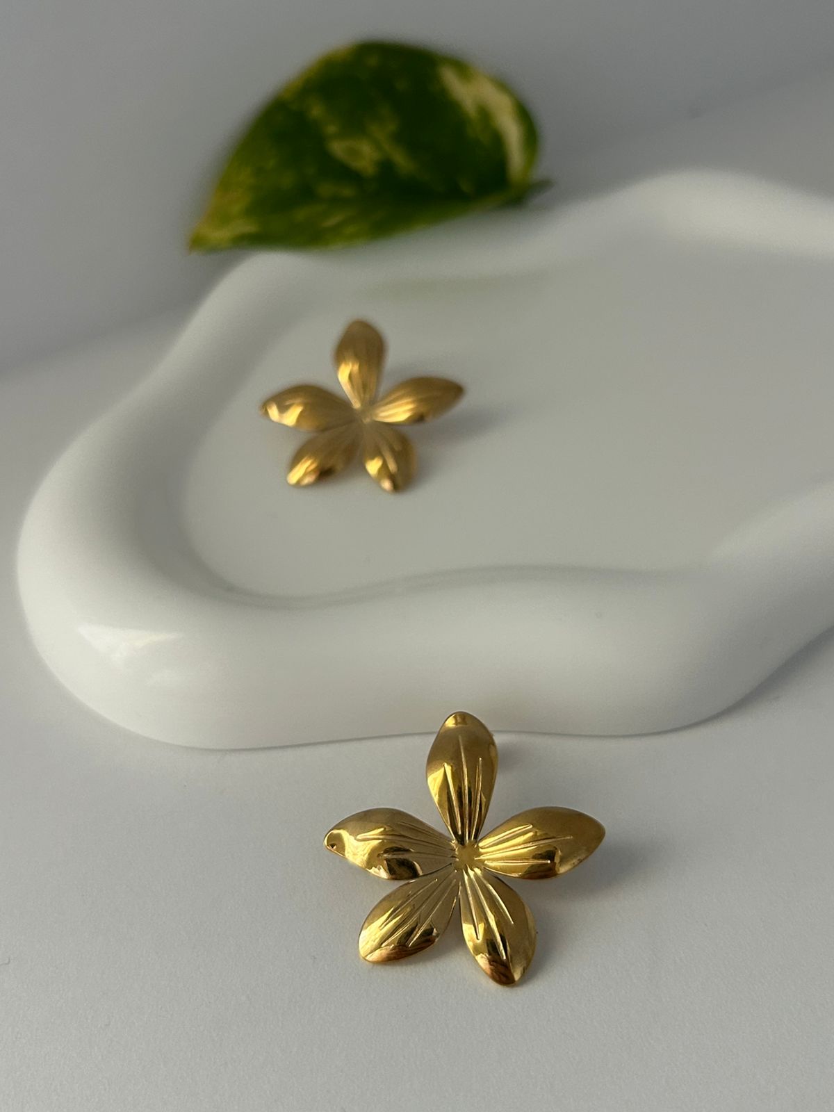 ARETES LUCCA