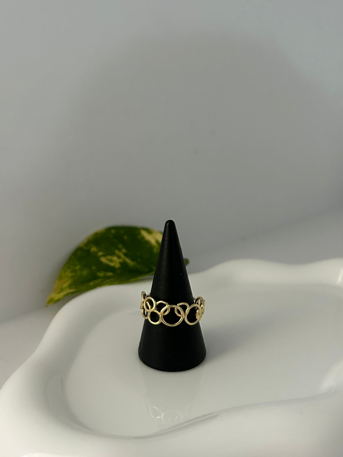 ANILLO NARA