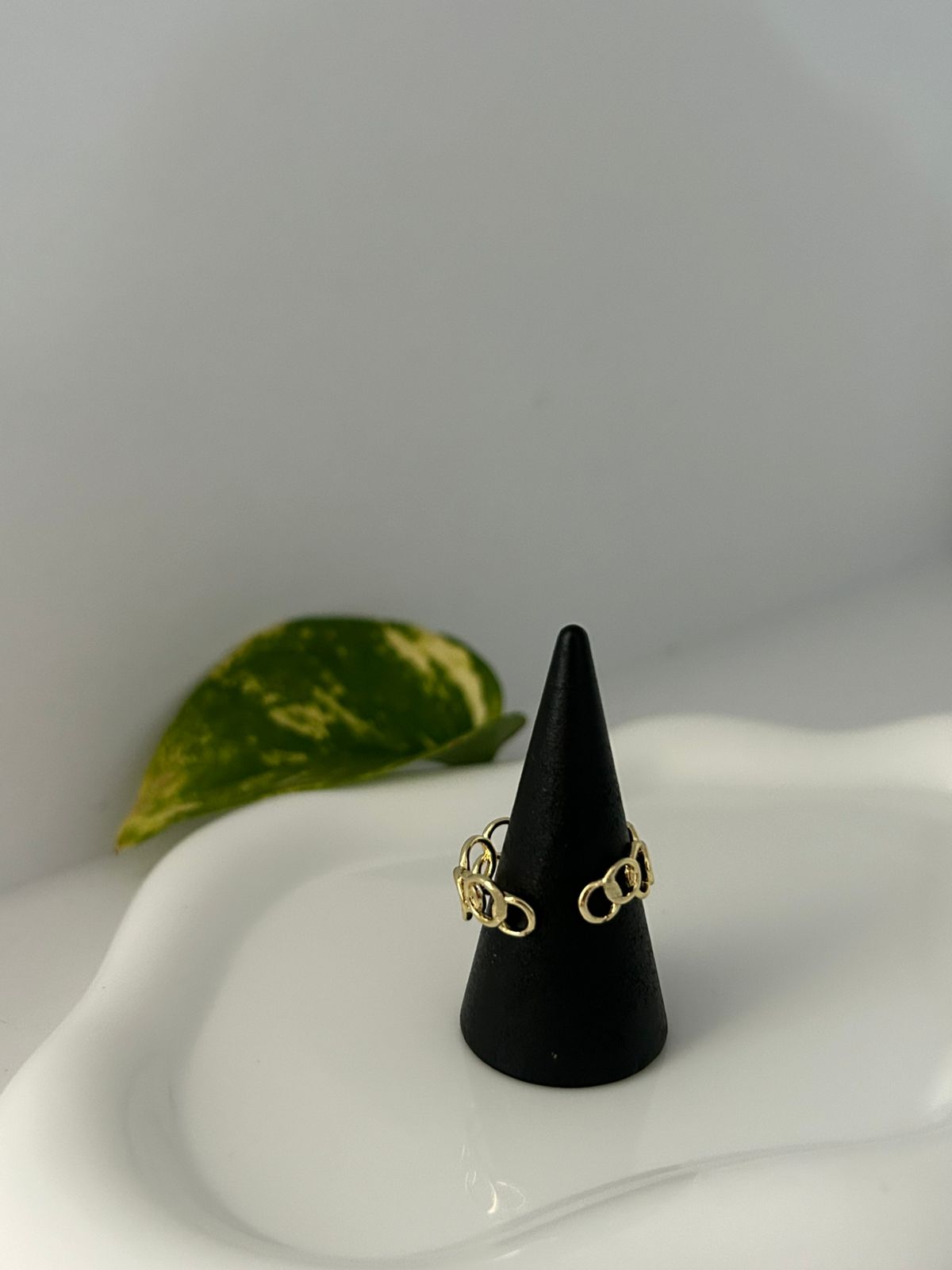 ANILLO NARA