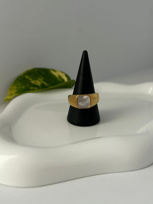 ANILLO TERME