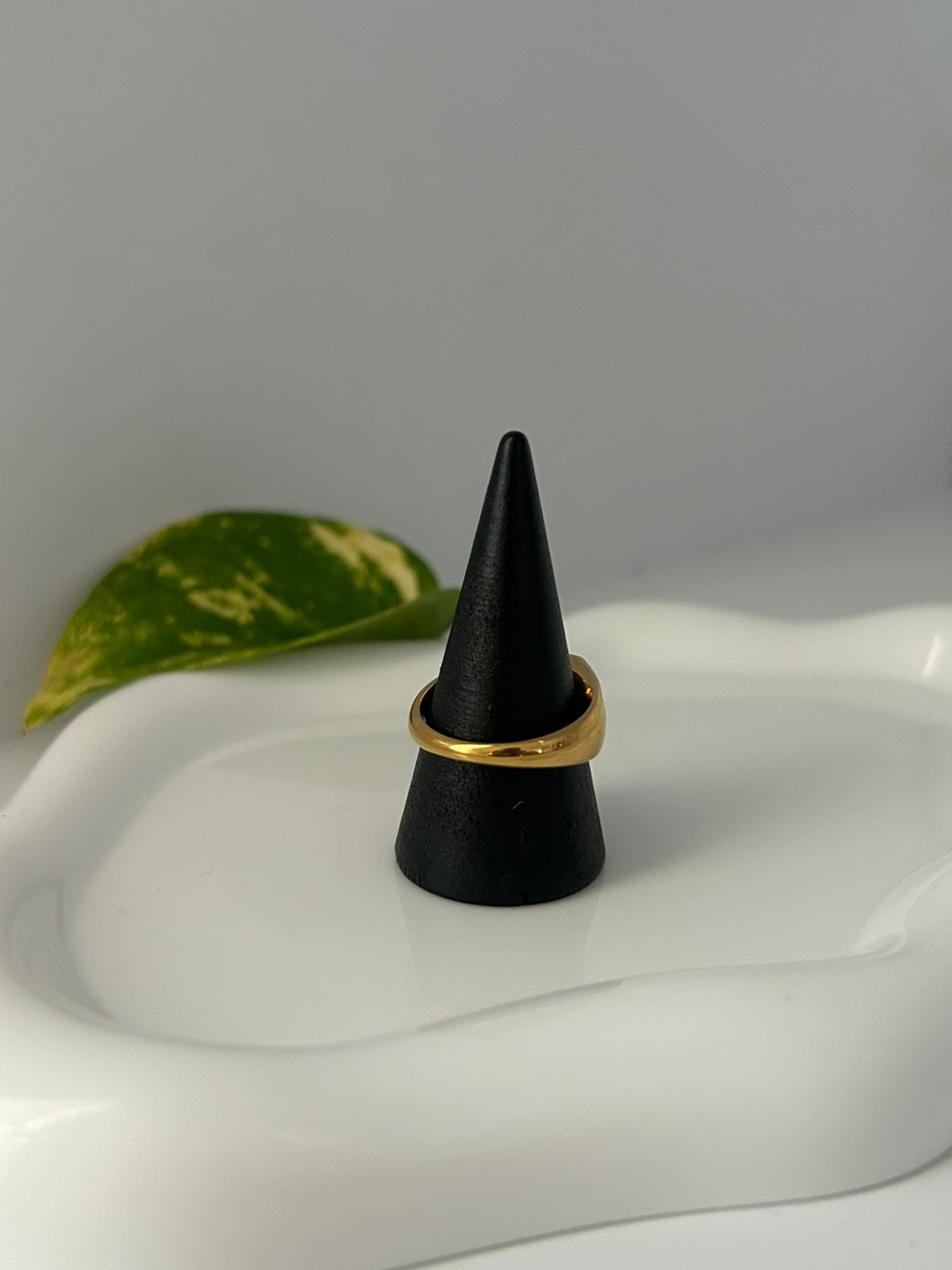 ANILLO TERME
