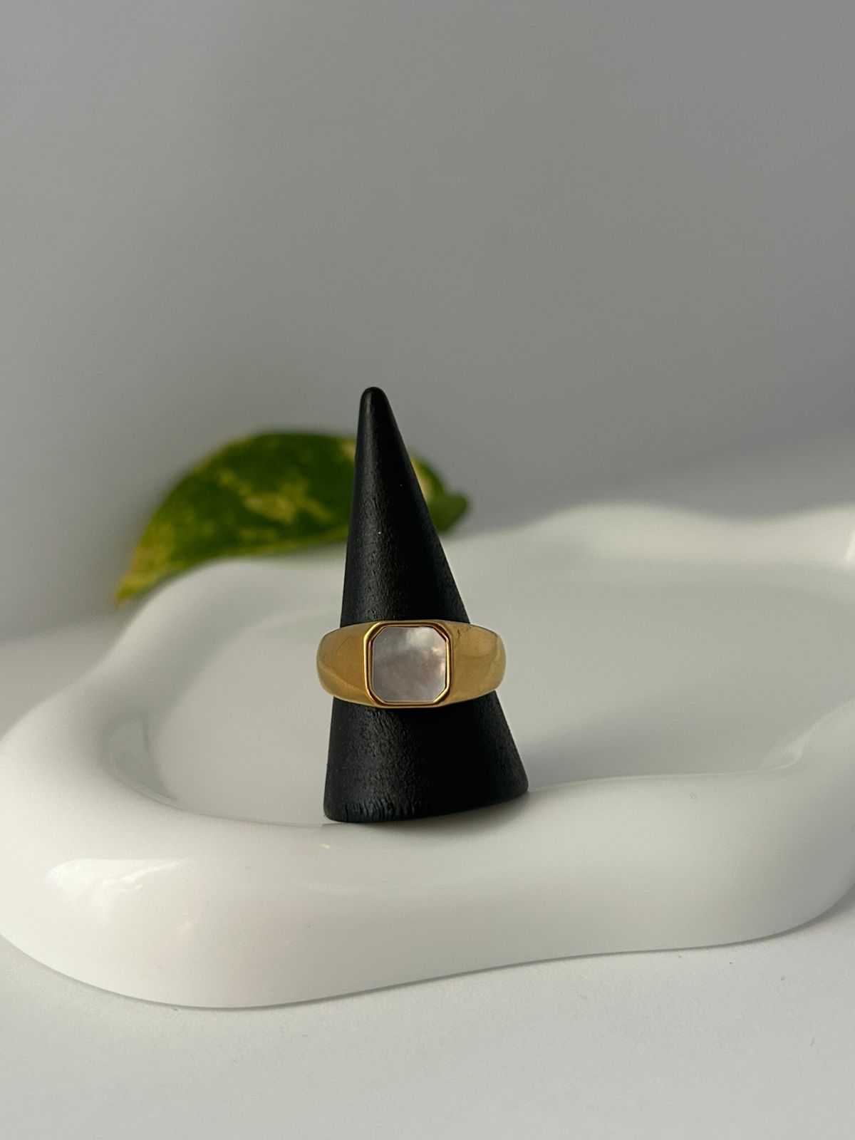 ANILLO TERME