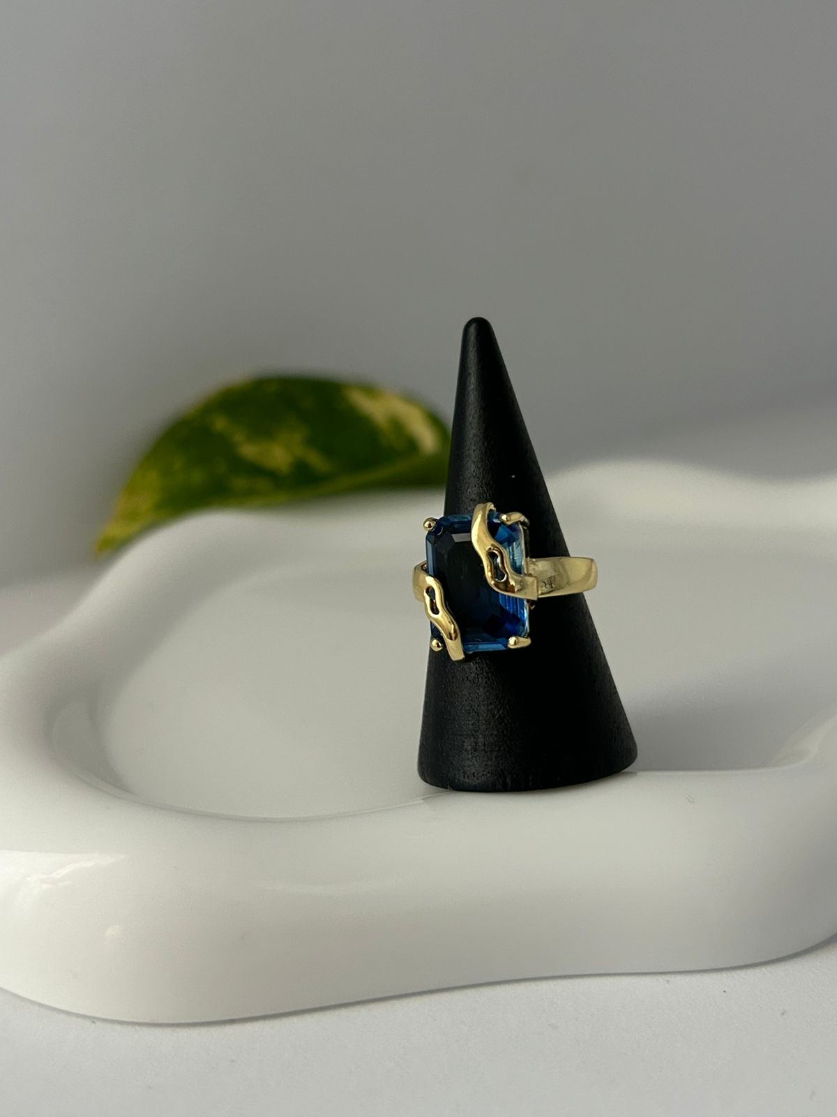 ANILLO NAMI