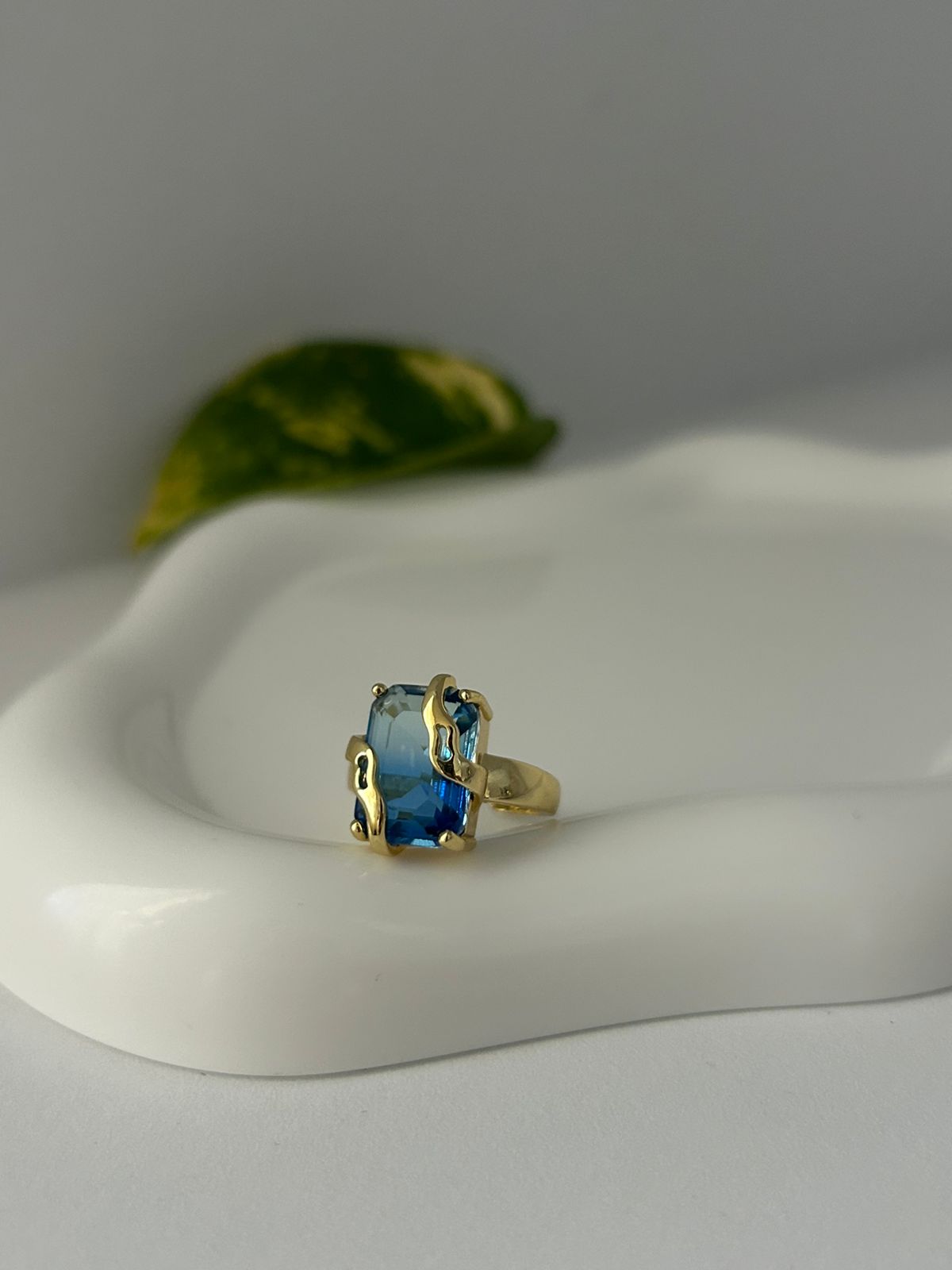 ANILLO NAMI