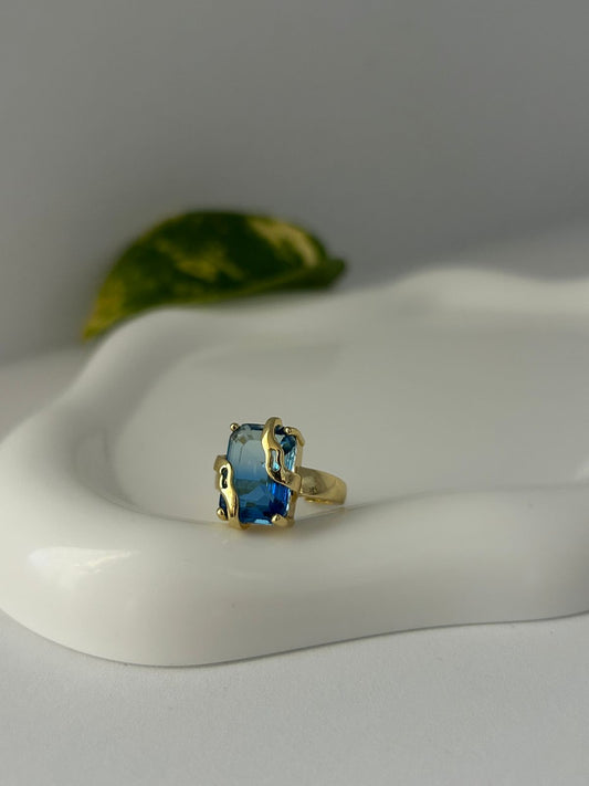 ANILLO NAMI