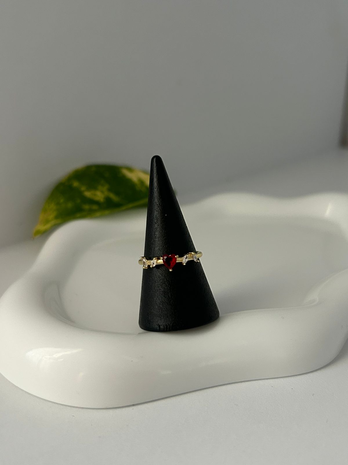 ANILLO AINA