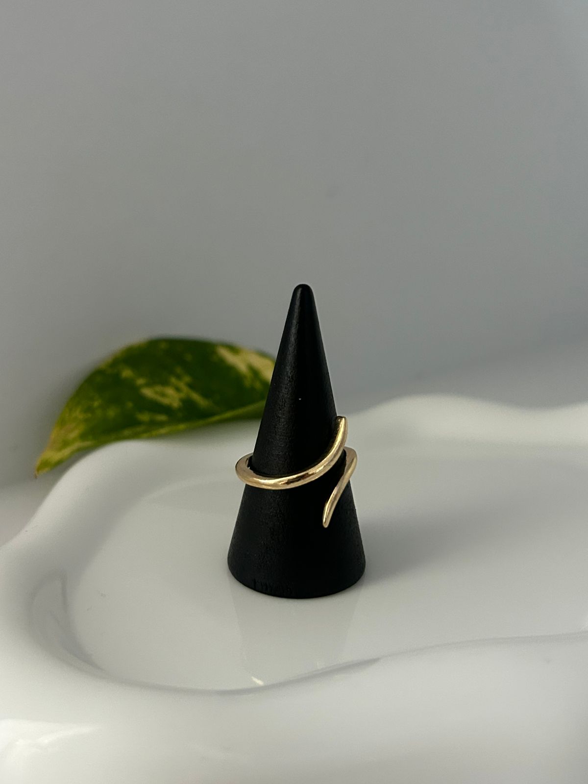 ANILLO ENVOLVE