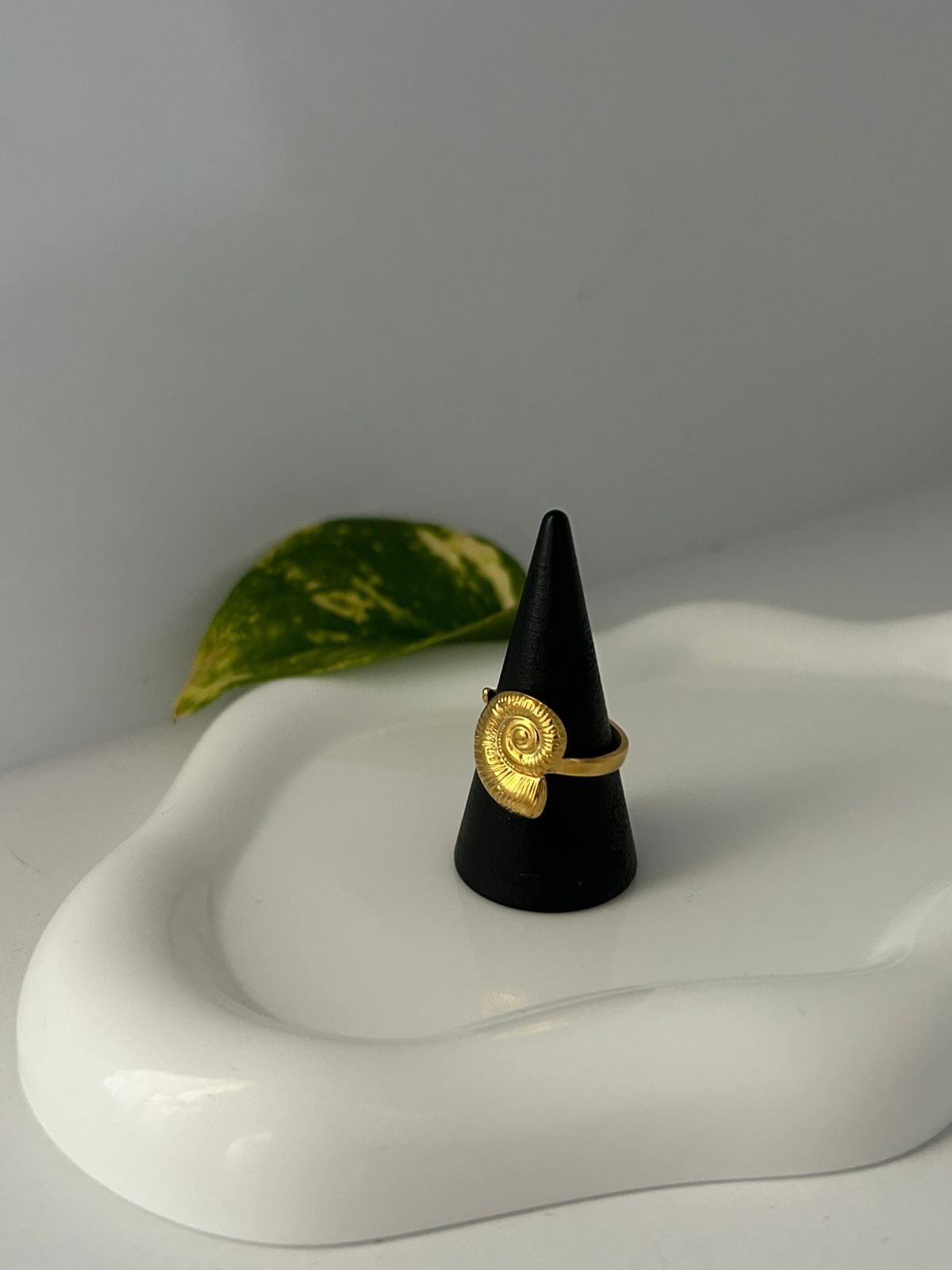 ANILLO SEREN
