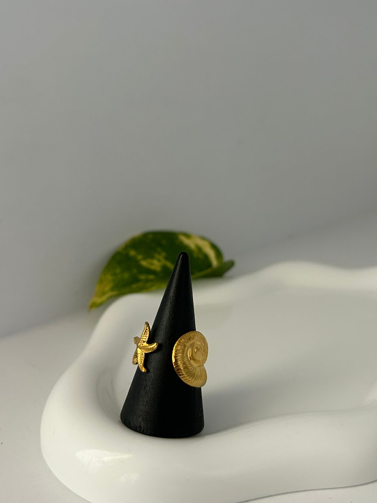 ANILLO SEREN