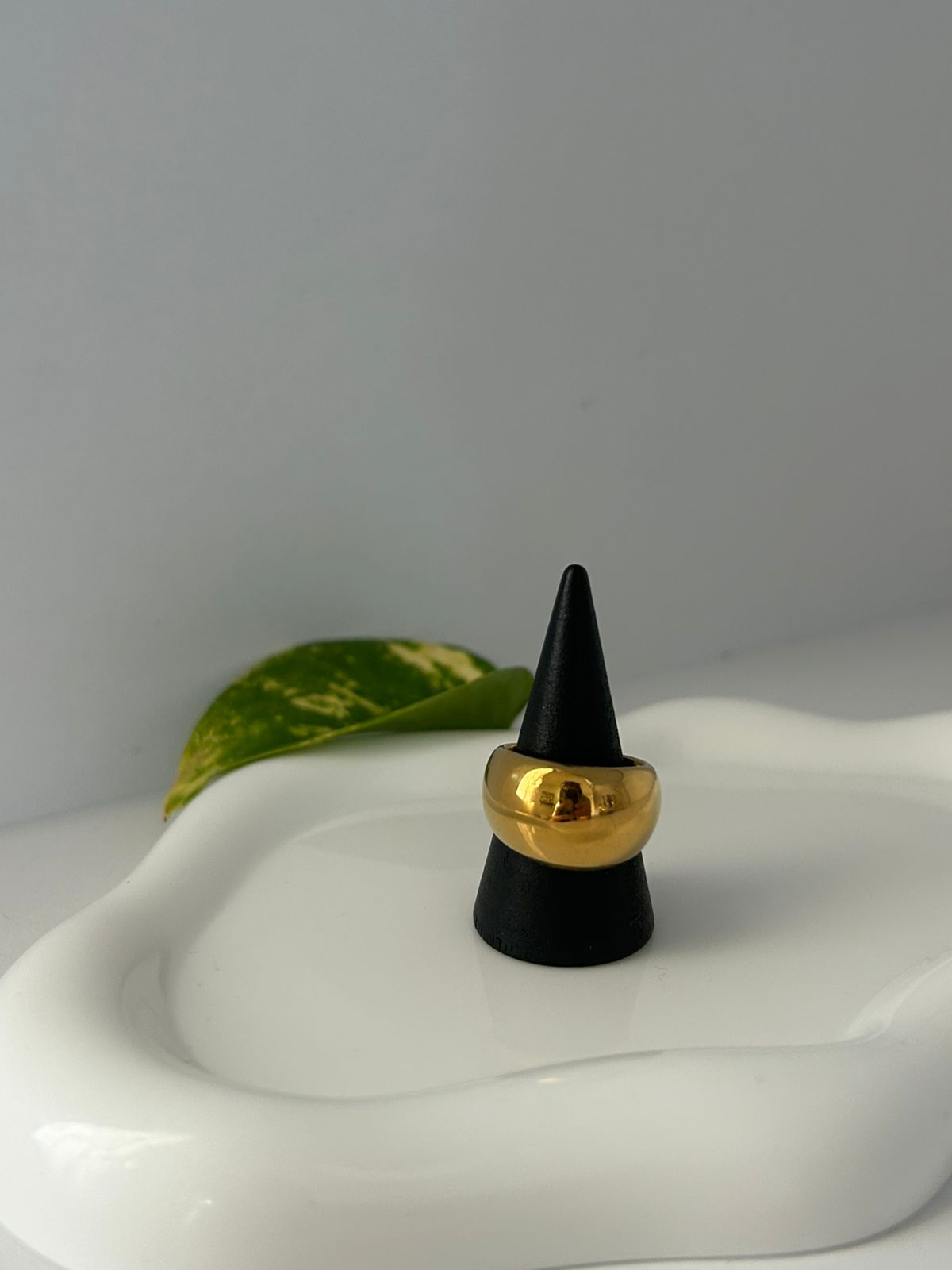 ANILLO CIEL