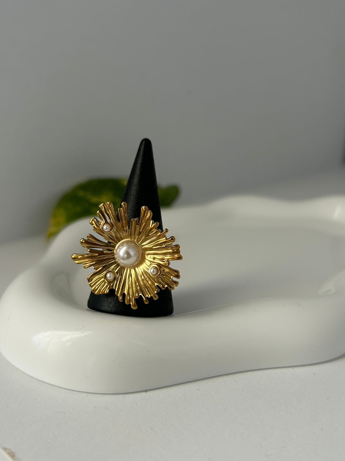 ANILLO LACTEA