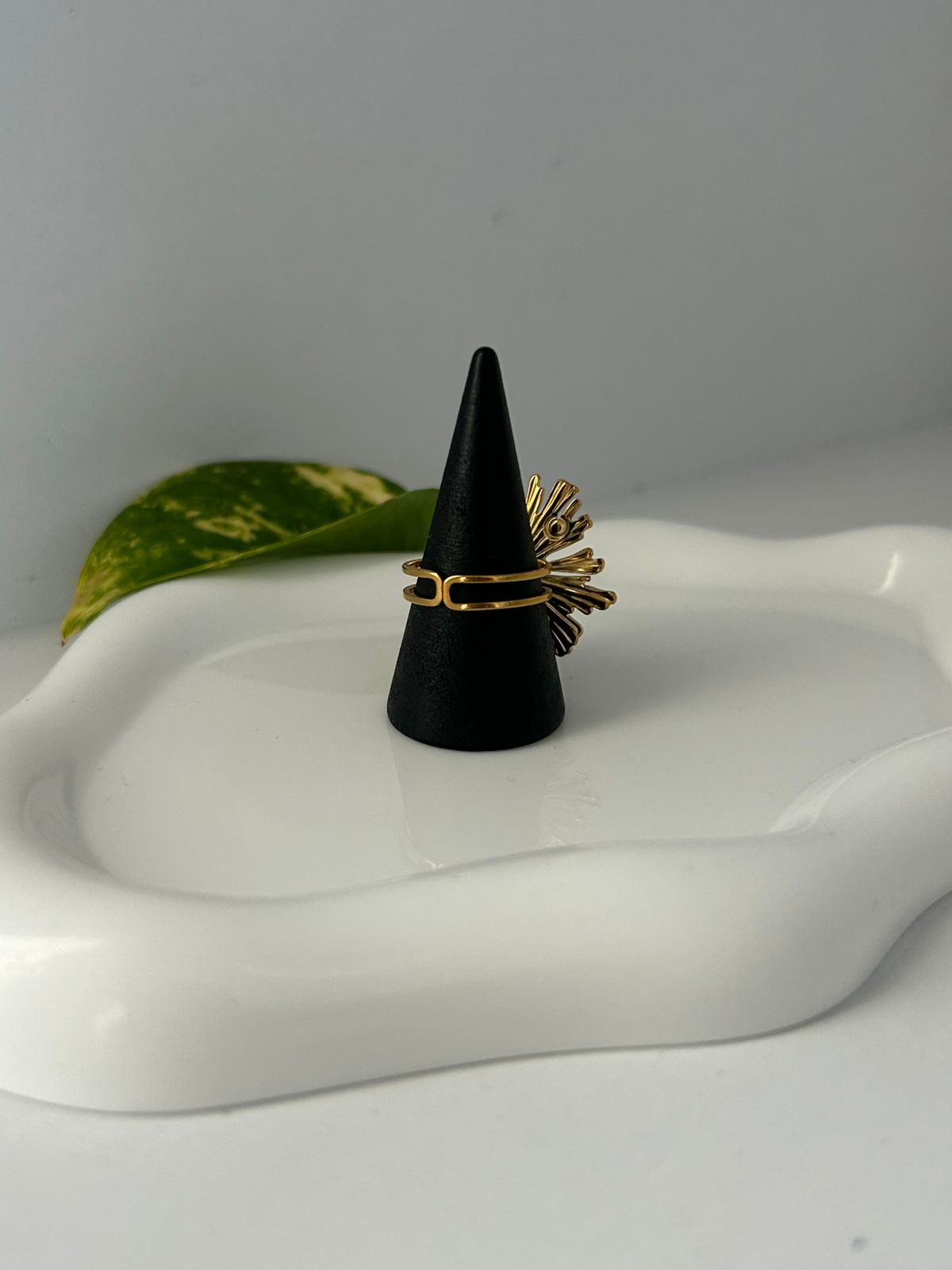 ANILLO LACTEA