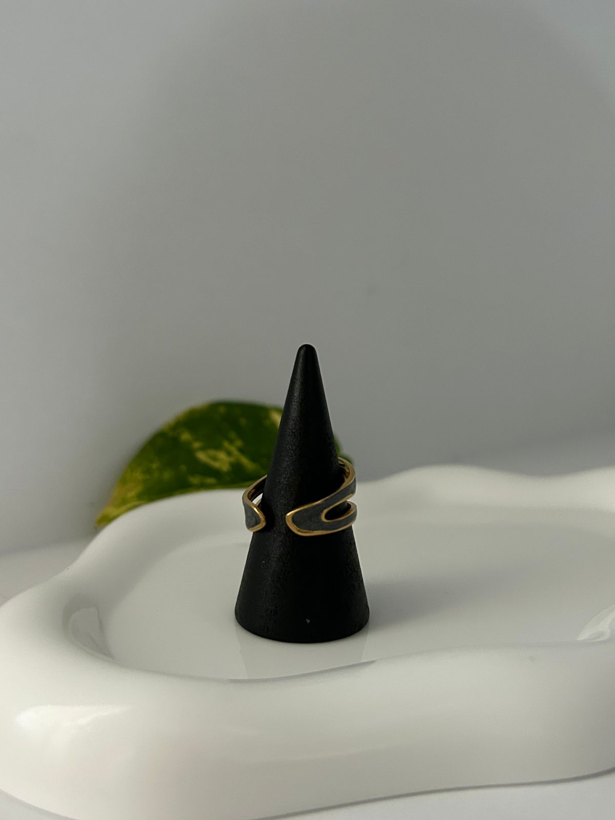 ANILLO TERRA