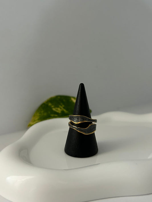 ANILLO TERRA