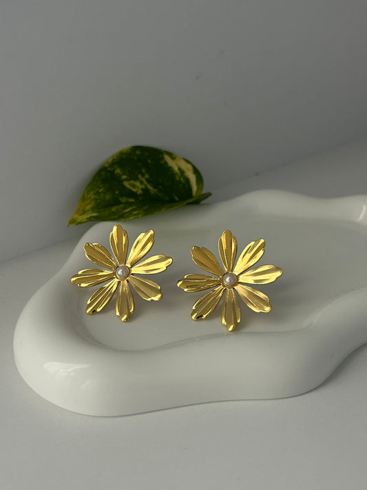 ARETES NAIA