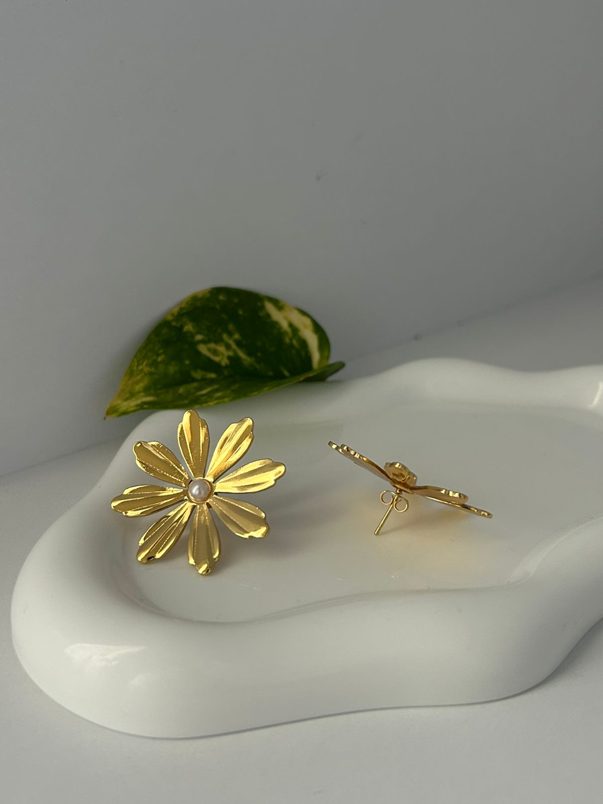 ARETES NAIA