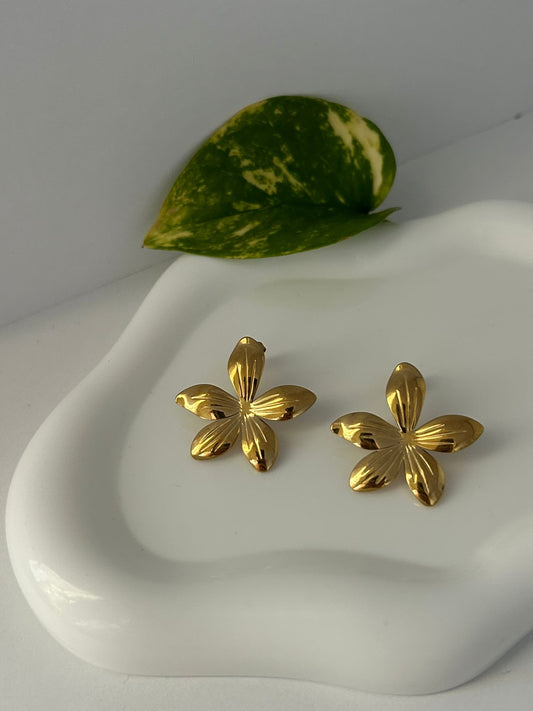 ARETES LUCCA