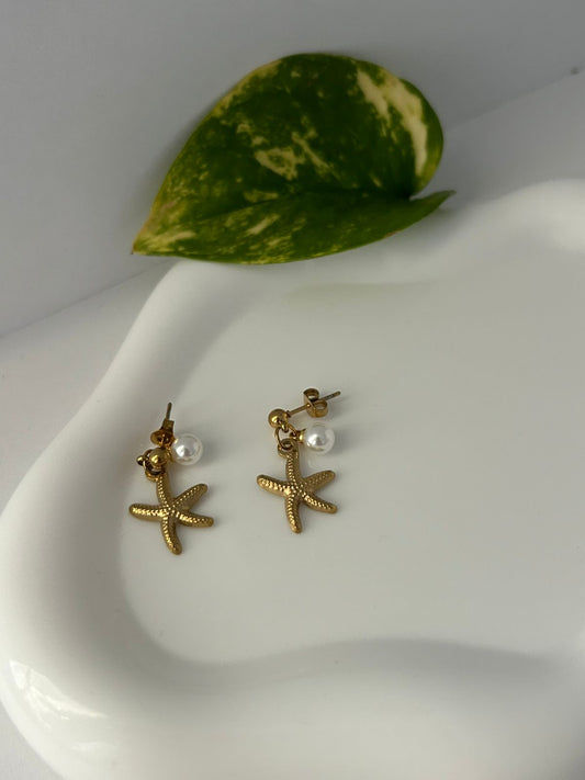 ARETES SEA