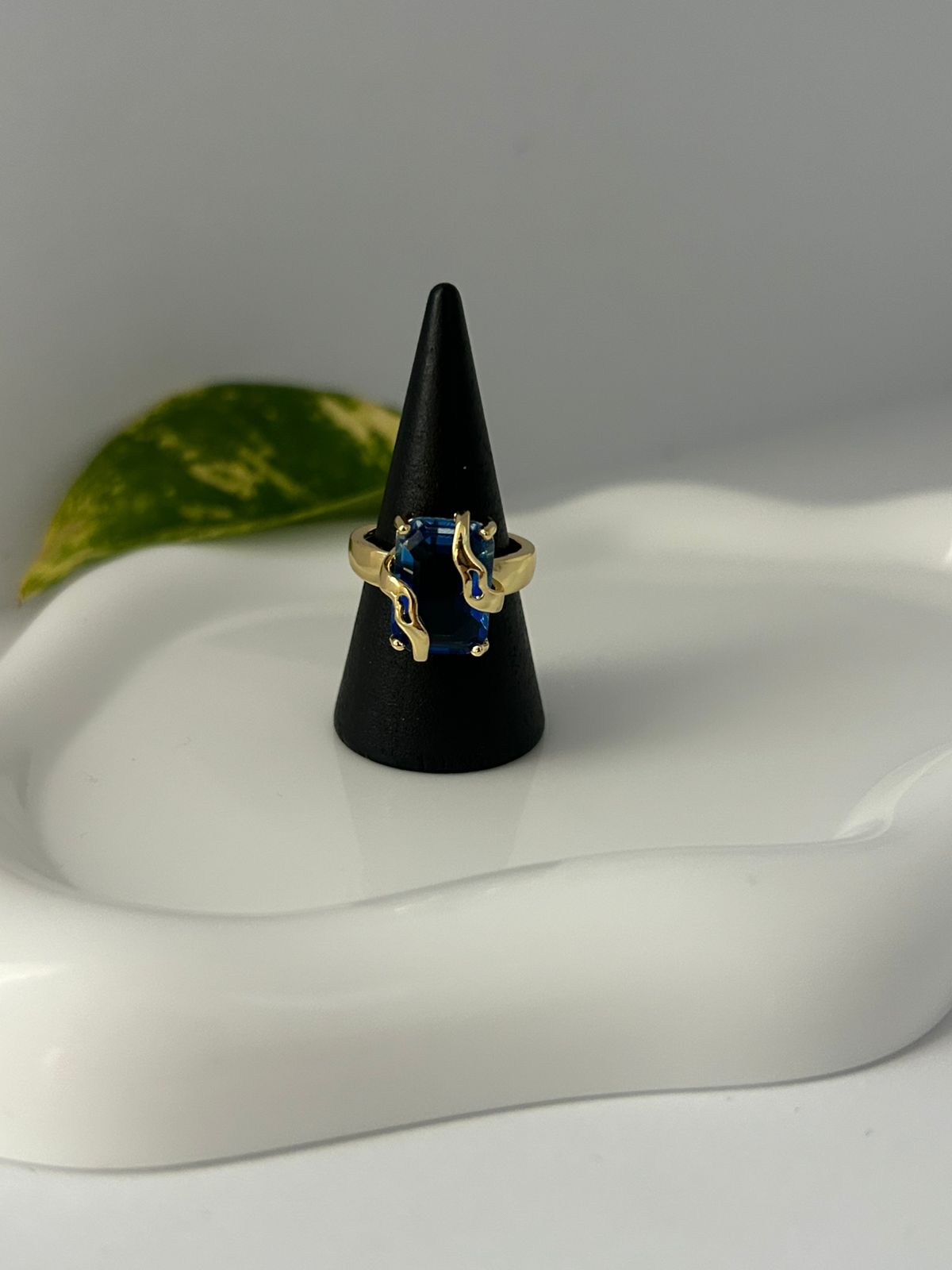 ANILLO NAMI