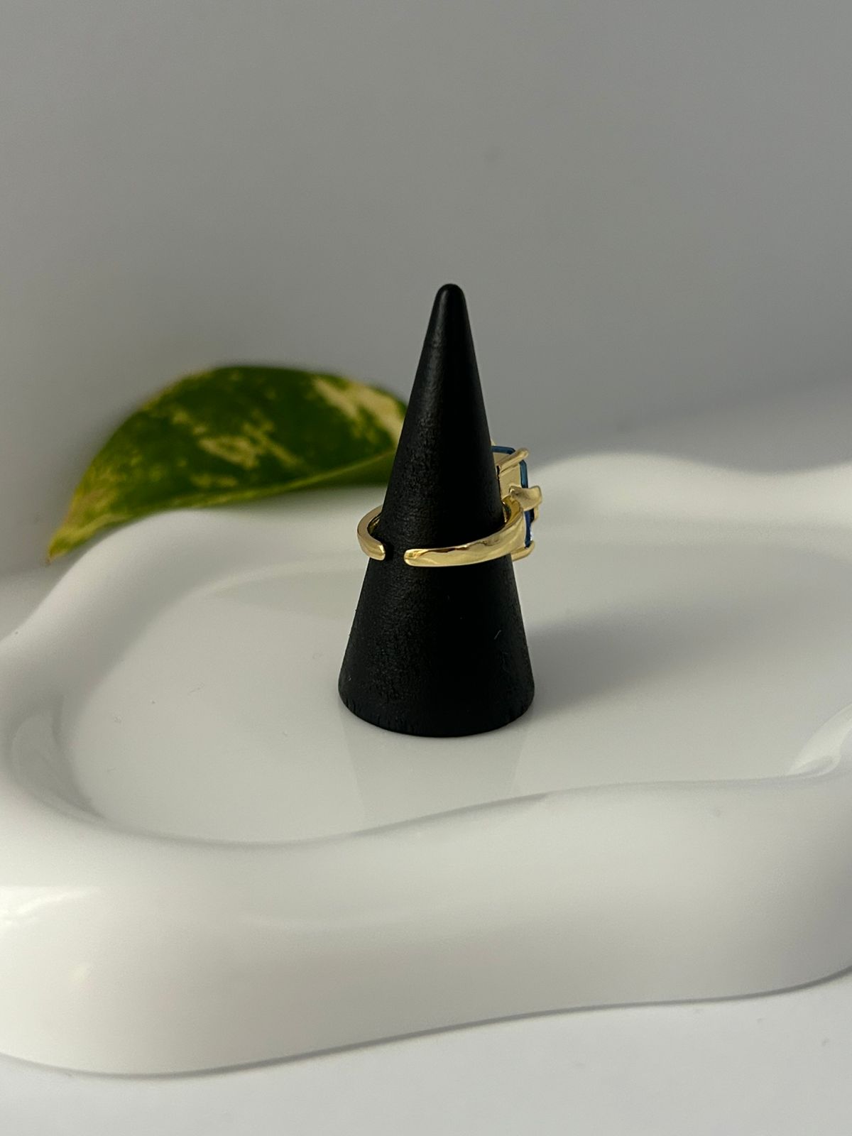 ANILLO NAMI